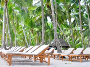 Palm trees leaning over turquoise water at Saona Island beach in Dominican Republic