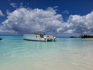La Saoneta catamaran tour hero - Saona Island Bayahibe